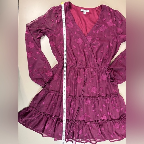 Fall Whimsigoth Lined Mini Dress with Cinched Waist Glitter Rose Mesh Medium - Picture 7 of 14